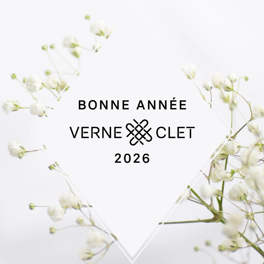 Bonne année 2026 – Verne & Clet